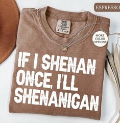 If I Shenan Once Ill Shenanigan Shirt, Funny Irish Shirt, Sarcastic shirt