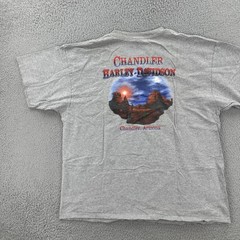 Vtg Harley-Davidson Motorcycles Mens XL Gray Pocket T Shirt Chandler Arizona Y2K