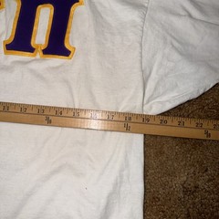 VTG Sigma Pi Fraternity Eagle USA Embroidered Shirt Sz M