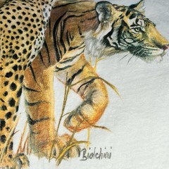 Vintage Safari Big Cats Graphic Tee Hanes USA Single Stitch Lion Tiger Shirt XL