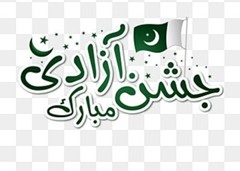 Pakistan independence day T-Shirt Crew Neck uni sex