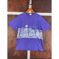 Hanes Beefy Pre Shrunk Single Stitch Fiesta Texas Shirt Purple Teal Mens Large