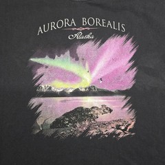 Aurora Borealis Alaska Shirt Mens 2XL Black Northern Lights Fruit of the Loom