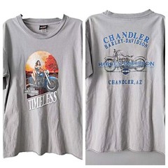 Vintage Harley Davidson T-shirt 2005 Y2K Size L Gray Pinup TIMELESS Chandler AZ