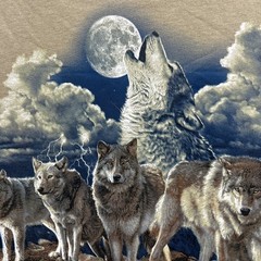 Tan Alaska Zoo Six Pack T-shirt. Size Medium Men’s. Wolf Graphic
