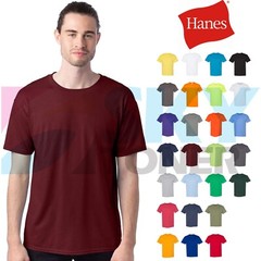Hanes 5170 Men’s EcoSmart Tee 50/50 Cotton/Polyester Plain Basic T-Shirt