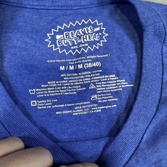 Beavis & Butt-Head MTV Flag Graphic T Shirt Blue Mad Engine Men M 90s
