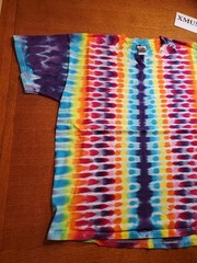 Vintage 2000s Fruit Of The Loom Blank Tie Dye T Shirt XL Rainbow Hippie y2k 90s