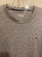 Hollister Must Have Collection Men’s Black / White T-shirt Size Medium bird NWOT