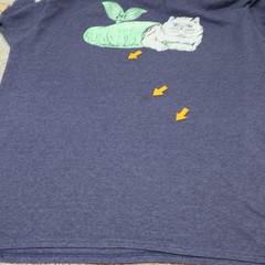Delta Pro Weight Graphic T Shirt Large Blue Cat-Fish Print (see photo)