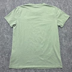 Hollister Must Have Collection Shirt Mens Medium Sage Green Cotton Logo Tee Crew