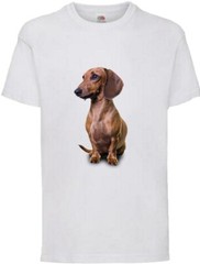 Brown Dachshund Dog Pet Friend Family Novelty T Shirt Various Colours And Sizes