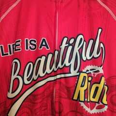 NWT Life Is A Beautiful Ride Men’s Long Sleeve Cycling Jersey -Sz L Peak Sports