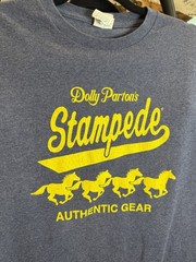 VTG Delta Pro Weight Dolly Parton’s Stampede Blue Graphic Logo Crew Neck Tee M