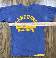 Vintage 60s 70s Sandburg High School Phys. Ed. Blue/ Yellow T Shirt Size Medium