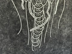 Erra – Jellyfish Colortone Men’s Large Band T-Shirt Metalcore Acid Wash LG