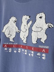 Vintage 90’s OSFA Galligaskins Juneau Alaska Sleepshirt RARE Oversize Polar Bear