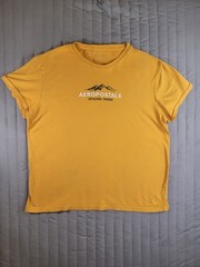 Aeropostale Men’s Large Yellow Graphic T-Shirt Original Brand Mountain Crew Neck