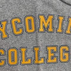 Vintage 90s Lycoming College Shirt Gray Cotton Rayon Size Small