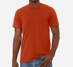 NEW Blank Bella + Canvas Triblend Unisex/Mens T-Shirt #3413 Various Colors