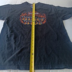 Vintage Y2K Harley Davidson Fairbanks Alaska Graphic T-Shirt Hanes Beefy L 2003