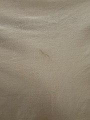 Vintage 1998 Helmut Lang White T-Shirt Small M Archive Made in Italy
