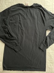 Fruit of the Loom Flag & Doberman Pinscher Shirt Mens Med Graphic Patriotic