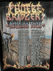 Phoebe Bridgers Reunion Tour Concert Tee- Size M- Black
