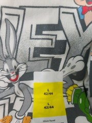Looney Tunes T-Shirts New With Tags Sizes S M L XL 2XL 3XL