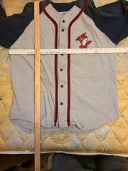 Vintage Baseball Jersey Badger Sport Made USA Size XL #19 Cardinals Sluggerbird
