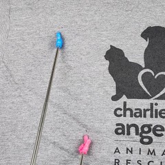 Graphic T-Shirt Bundle Mens 3XL Dog Rescue Animal Lover Streetwear Big Tall 3pc