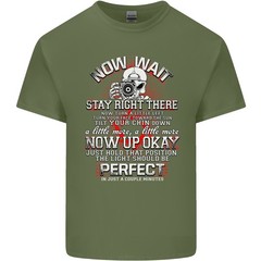 Photography Now Wait Photographer Funny Mens Light Cotton T-Shirt