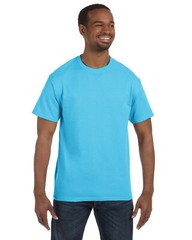 Hanes Men's 100% Preshrunk Cotton Authentic-T T-Shirt – 5250T