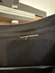 Saint Louis Art Museum Dragon Shirt No Tag Fits Like M-L