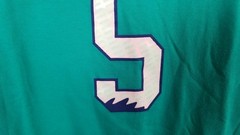 JORDAN V RETRO 5 GRAPES OUTFIT SHIRT + SHORTS SET EMERALD PURPLE RARE (MEDIUM)