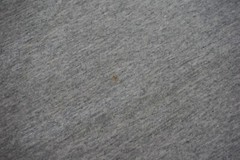 2002 Property of Harvard Department of Gov XLarge Fruit of the Loom T-shirt