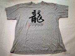 Art Dragon Gray Graphic T Shirt Sz XXL