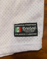 Los Angeles Dodgers MEXICO WEST COAST “Viva Mexico Cabrones” Jersey 20# READ