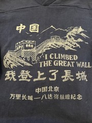 Vtg 80’s JANSPORT T Shirt “I Climbed the Great Wall of China” V Neck Sz Medium