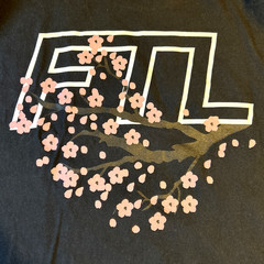 FTL FOLLOW THE LEADER BMX T Shirt M Skate Extreme Sports New York City USA