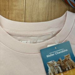 Uniqlo Cat Photography T-Shirt Pink Relaxed Fit Waterproof Condition Size M New
