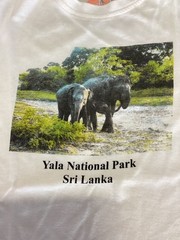 Vintage Yala National Park Sri Lanka Elephant T-Shirt Single Stitch Size XL