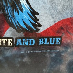 Liquid Blue Lynyrd Skynyrd Red White Blue T-Shirt Large Tie Dye Flag Eagle USA
