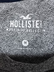 Hollister Must Have Collection Men’s Medium T-Shirt