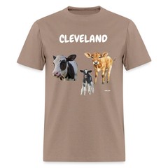 CAVS