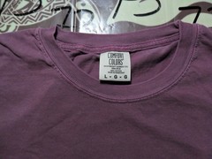 Large NWOT Sigma Phi Epsilon 2019 Fraternities Shirt