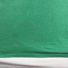 Polo Ralph Lauren Classic Fit Mens XL Green Big Pony 67 Graphic T Shirt