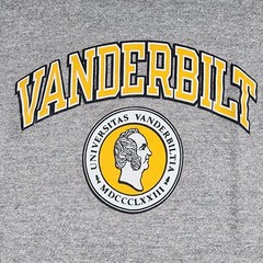VINTAGE 80s Vanderbilt T-Shirt Mens XL Tall Tag XL Gray Champion Tee Made in USA