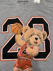 Brooklyn Vertical Men’s 100% Cotton Bear Basketball Graphic Gray Shirt Sz L NWT