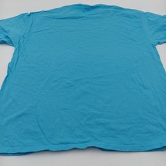 Fruit Of The Loom T Shirt Mens XL Blue Charleston South Carolina Colorful Print